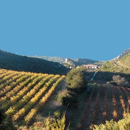 Gite Dans Ancienne Bergerie En Pleine Garrigue Fraisse-des-Corbieres Экстерьер фото
