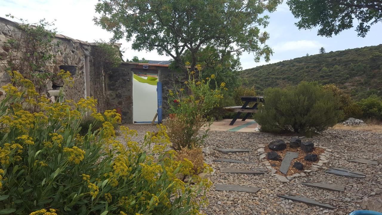 Gite Dans Ancienne Bergerie En Pleine Garrigue Fraisse-des-Corbieres Экстерьер фото